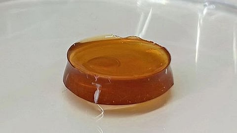 The study marks the first time wheat gluten protein—rather than animal-based protein—has been successfully incorporated into bran-based hydrogels