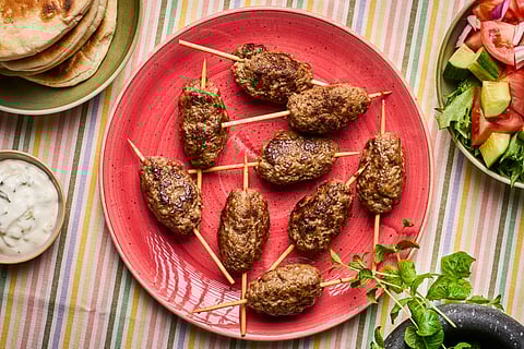 dsm-firmenich elevates plant-based performance with Next-Gen Vertis TVPs & Integrated ModulaSENSE taste technology