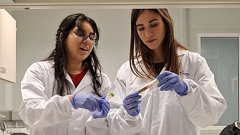 Next-gen energy: Nektium to present Rhodiolife coffees and Zynamite RTDs at Vitafoods 2026