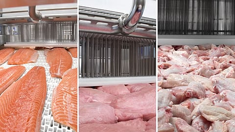 The new GEA MultiJector 500 provides a more adaptable injection platform with a 2mm or 4mm needle pattern. 2mm OptiFlex needles are ideal for tender meats such as poultry, pork bacon, and fish. For denser meats, the taller 4mm OptiFlex needle is recommended. Left: fish – salmon, middle: pork ham, right: chicken wings.