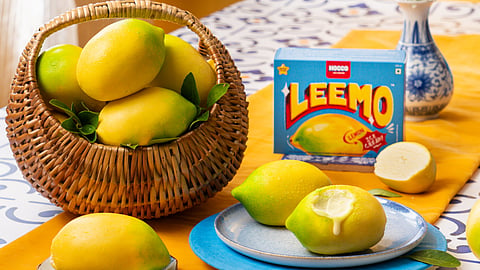 HOCCO unveils Leemo and Bun Maska