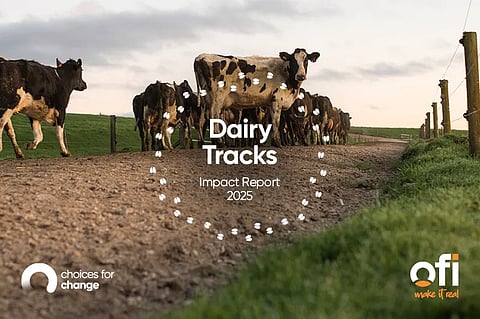 ofi Dairy Tracks 2025: Scaling low-carbon dairy with data-driven insights
