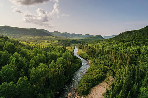 Tetra Pak updates its Approach to Nature, strengthening actions in responsible sourcing and water resilience