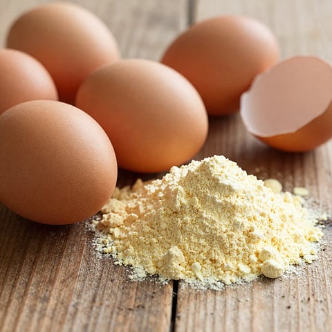 APEDA facilitates export of dried whole egg powder from Odisha to Austria
