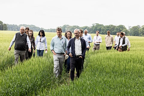 Carlsberg Denmark increases its share of regenerative raw materials