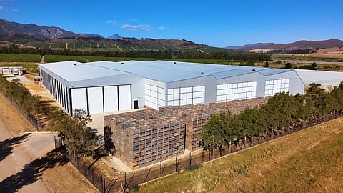 The new Betko Sunnyside facility in the Western Cape, South Africa, houses 24 controlled atmosphere stores with capacity for a second phase of another 24. 