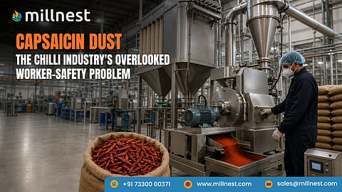 Capsaicin Dust: The Chilli Industry's Overlooked Worker-Safety Problem