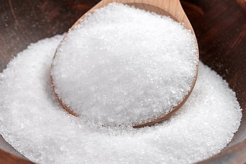 SALTWELL puts flavor in focus with next-generation sodium reduction