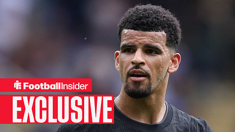 Dominic Solanke in action for Tottenham