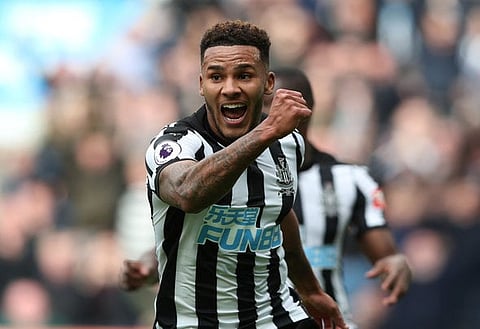 Pack it in: West Ham are embarrassing themselves with reported bid for Newcastle player