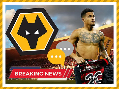 Sources: Wolves in advanced talks to sign Newcastle target Joao Gomes