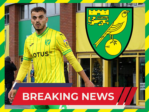 Sources: Coventry City and Birmingham City make moves to sign Norwich star Danel Sinani