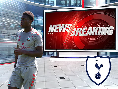 Sources: Tottenham submit bid for Southampton star Thierry Small
