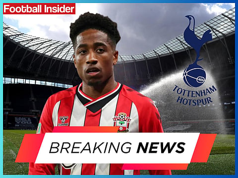 Sources: Tottenham plotting to re-sign 25-yr-old loved by Mauricio Pochettino