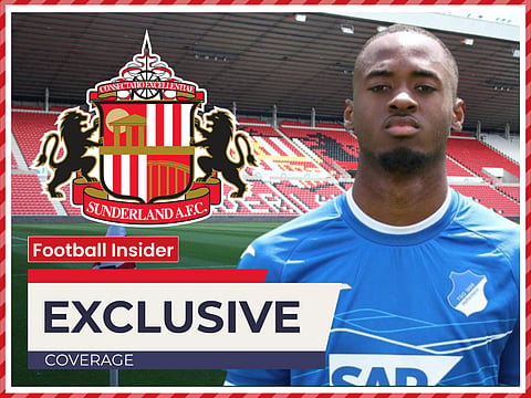 Sunderland and Birmingham City plotting to sign Hoffenheim star Bogarde - sources