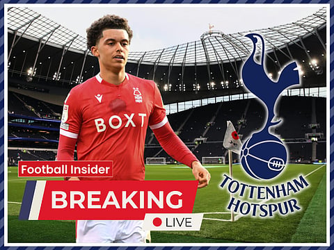 Sources: Brennan Johnson could now join Tottenham due to FFP