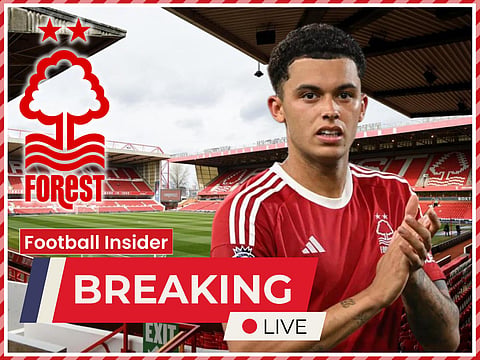 Sources: Nottingham Forest to use Brennan Johnson money for two January signings