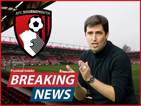 Revealed: Bournemouth owners bankroll £67m injection as new documents filed