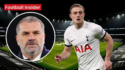 Oliver Skipp is perfect for Ange Postecoglou's Tottenham system - ex-coach