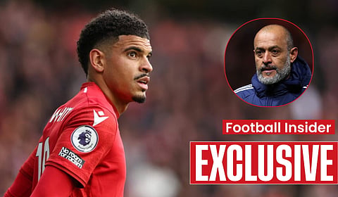 Exclusive: Nottingham Forest's Gibbs-White plan revealed after Tottenham latest