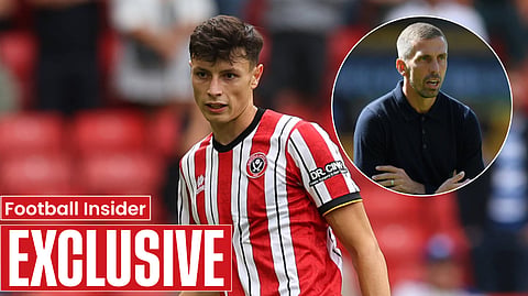 Exclusive: Wolves set sights on signing Anel Ahmedhodzic