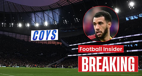Tottenham news: Etienne Capoue in bizarre career change