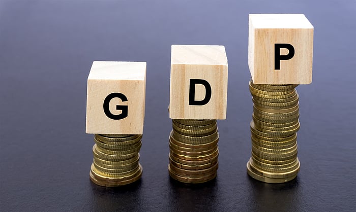 Economic Survey pegs FY25 GDP growth at 6.5%-7%