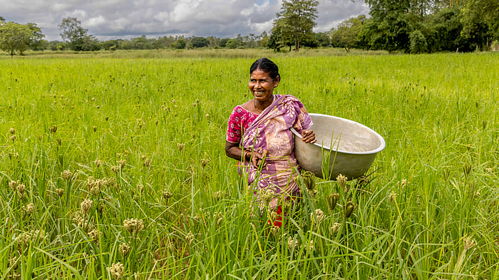 How to empower women farmers to unlock agri economy