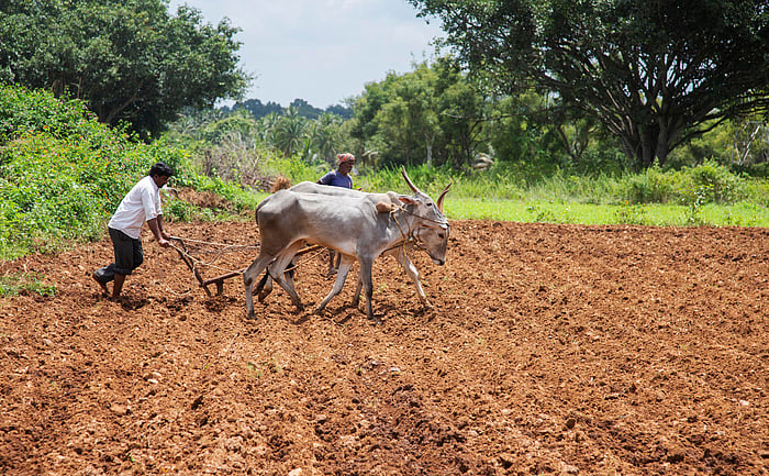 Farmer groups demand separate agri-Budget