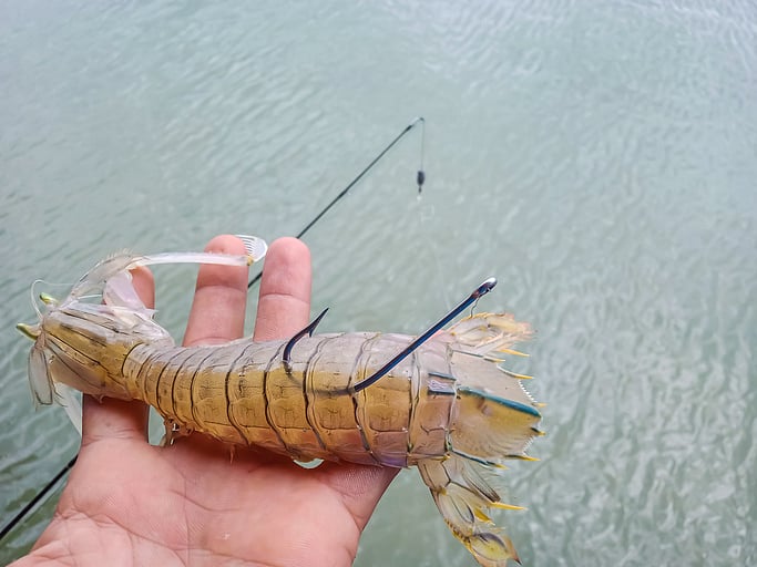 Budget 2024: Shrimp stocks zoom up to 20% on FM's announcements