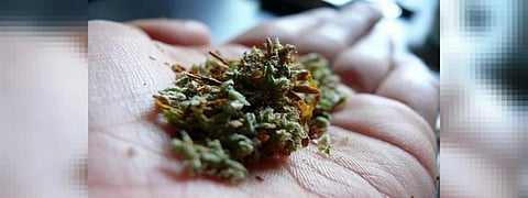 वाडीबंदर परिसरात गांजाविक्रीसाठी आलेल्या तिघांना अटक