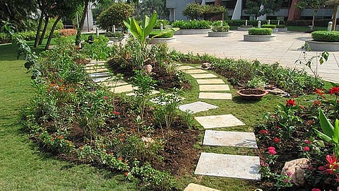 महानगरपालिकेच्या उद्यान विभागामार्फत जैवविविधतेचे संवर्धन 