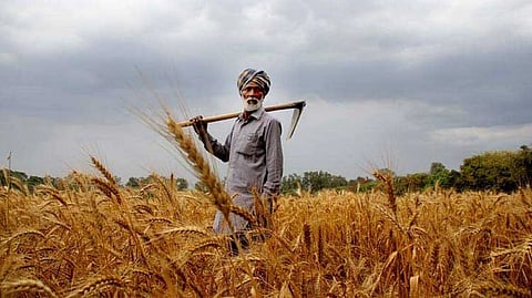 Farmer