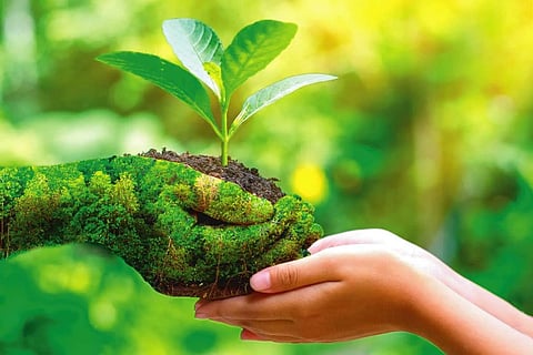 पर्यावरण रक्षणाचे मार्ग