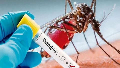 मुंबईला साथीच्या आजारांचा विळखा; मलेरिया, डेंग्यू, चिकनगुनियाच्या रुग्णसंख्येत दुप्पट वाढ