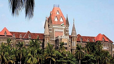 समुद्रात इंधन आणि बिटुमेनची तस्करी; जहाज मालकांना हायकोर्टाचा झटका 