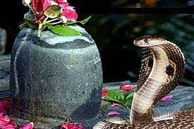 नागपंचमी साजरी करताना...