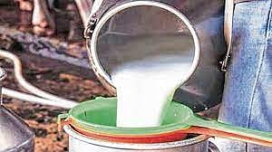 भेसळयुक्त दुधाची विक्री करणार्‍यांना अटक