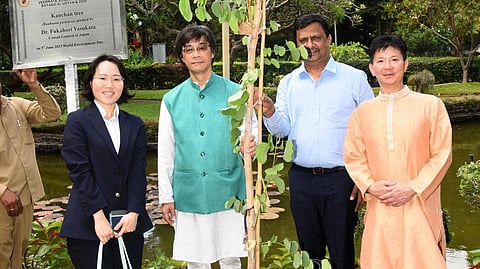 पर्यावरण संवर्धनाला मलेशिया, जपानचा मदतीचा हात; २०० वृक्षांची लागवड