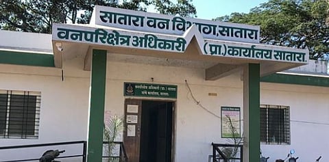 कराडमध्ये सापडले दुर्मिळ स्टार कासव ; बेवारस आढळल्याने तस्करीचे गुढ वाढले