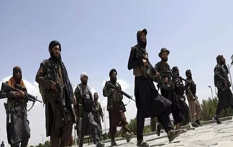 तालिबानने पुकारलं पाकिस्तानविरोधात युद्ध ; अनेक गावांवर ताबा केल्याचा दावा 
