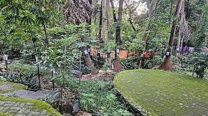 मलबार हिल जलाशयाच्या पुनर्बांधणीसाठी स्पेशल कमिटीची स्थापना ;एक महिन्यांत अहवाल सादर करण्याचे आदेश