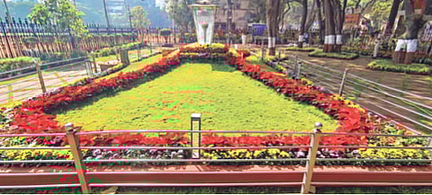 बाळासाहेबांचे स्मृतीस्थळ आकर्षक फुलांनी बहरले; पुणे, सोलापूरहून १५०० शोभिवंत झाडांची लागवड 