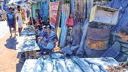 प्रातिनिधिक छायाचित्र 