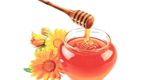 ‘मधाचे गाव’ योजना राज्यभर राबविणार