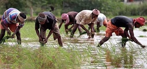पीएम किसान योजनेच्या रकमेत वाढीचा प्रस्ताव नाही -कृषी मंत्री