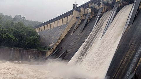 प्रातिनिधिक छायाचित्र 