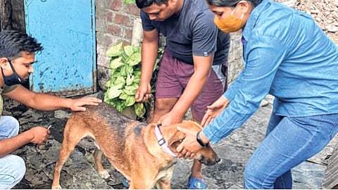 प्रातिनिधिक छायाचित्र 