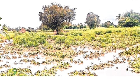 अवकाळी व दुष्काळाने शेतकरी बेजार,छ. संभाजीनगरमध्ये पिण्याच्या पाण्याचा प्रश्न गंभीर!