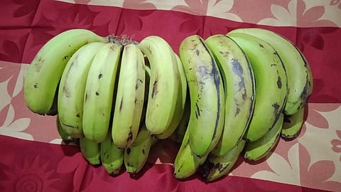 खूप प्रयत्न करूनही वजन कमी होत नाही? कच्ची केळी खाऊन पाहा